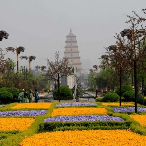 大雁塔东边的樱花园太漂亮了