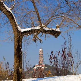 雪后玉泉塔