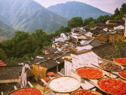 一个靠“晒”的高颜值村落，你要的秋天这里都有