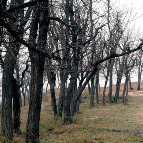 荒郊野外去拍片