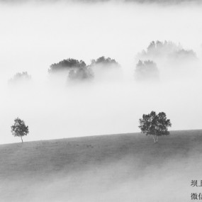 相爱的时候需要真诚