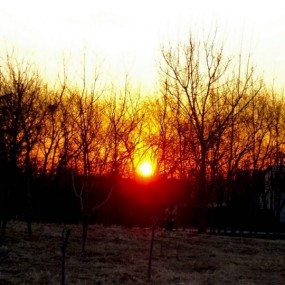 平安夜清晨阳光