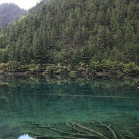 神奇的九寨会唱歌