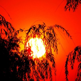 西安市城市运动公园美景实拍之残阳如血