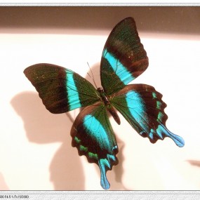 我的世园会随拍