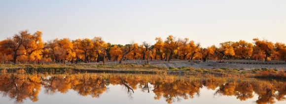 新手几张风景！