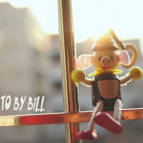 掉下凡间的猪八戒