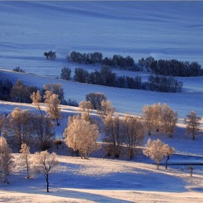 2013年-坝上初雪