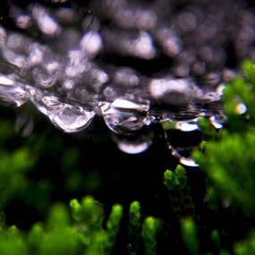 秋雨后的蜘蛛网