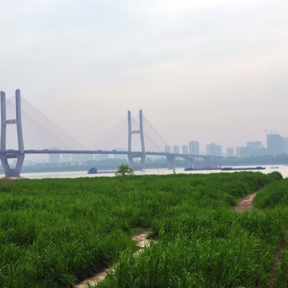 武汉江滩和东湖磨山风景区