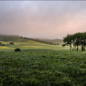 九儿拍的风光片片——