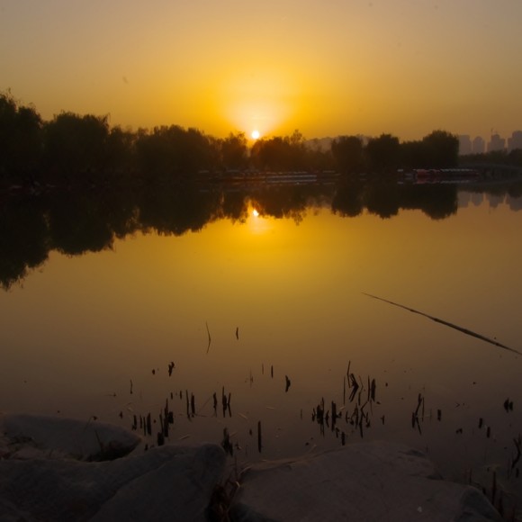 大明宫湖落日