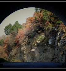 秦岭秋色（二）