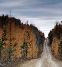 乡愁 跨越旷野与城市