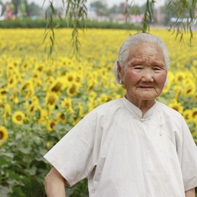 少女和老人--楼观葵园2
