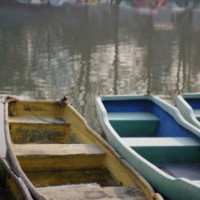 兴庆公园冬日小景