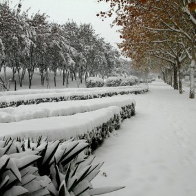 2016.11.22_洛阳第一场雪