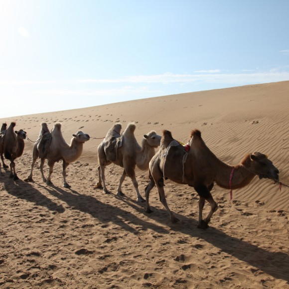 沙漠风光（一）