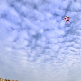 青海湖，张掖丹霞地貌