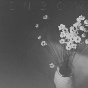 瓶子、雏菊和红豆