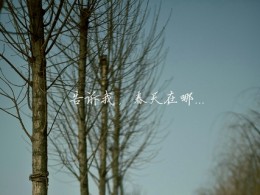 告诉我春天在哪