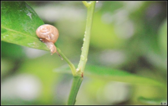 台山 古兜山脉 景