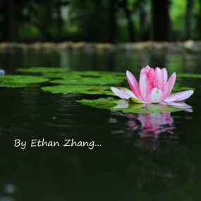 关中民俗博物院~（去写勒个生~~）