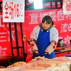 春节摄影比赛-小雁塔抓拍