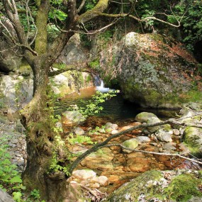 秦岭终南山牛背梁国家森林公园