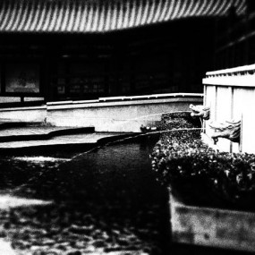 大唐芙蓉园活动之——黑白颗粒的美