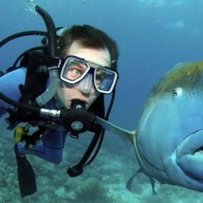 澳鱼儿惊觉被尾随瞪大眼睛超吃惊