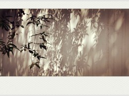 《小 品》 秋 。 意