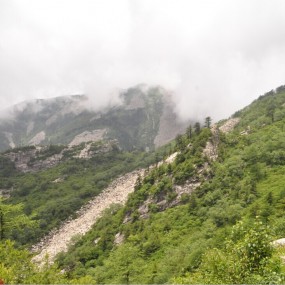 大美秦岭——朱雀森林公园美景