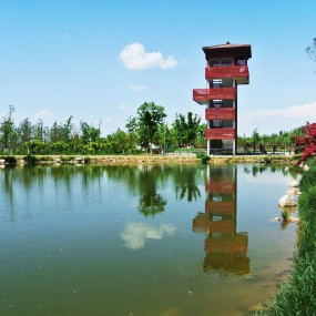 醉美沣景活动作品