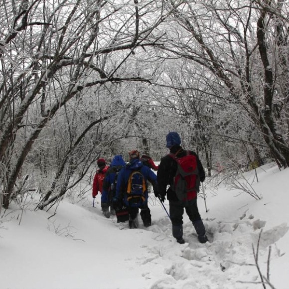 雪中景，雾中影--摄于秦楚古道