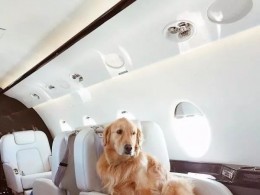 俄罗斯摄影公司开放租借私人飞机拍照，体验富豪生活的人一堆！