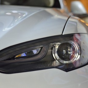 各位看官 小宇在绿地拍了些 请看