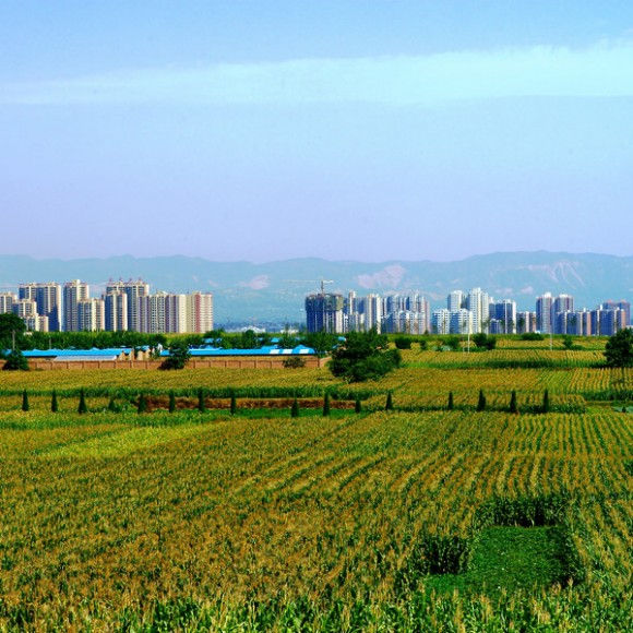 魅力富平——频阳秋色