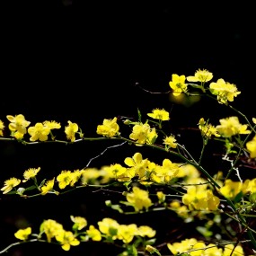 跟你一起到天堂