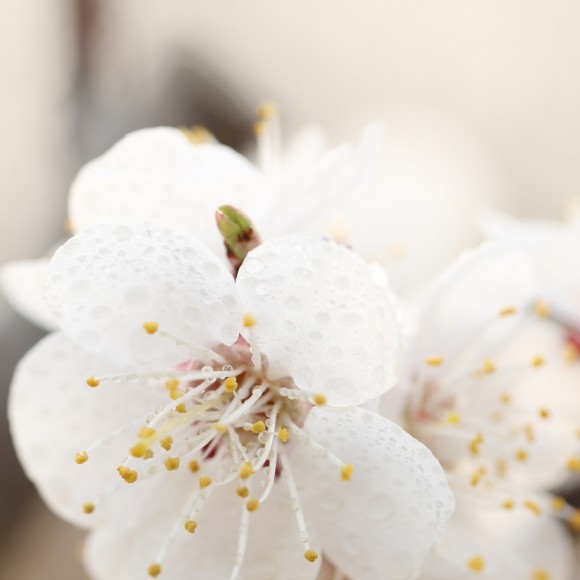 昨天终于看到太阳了