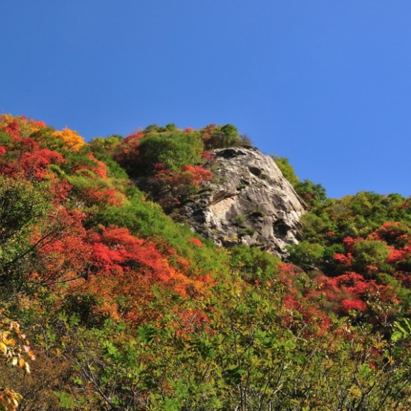 20121022——翠华山翳芳园红叶漫山