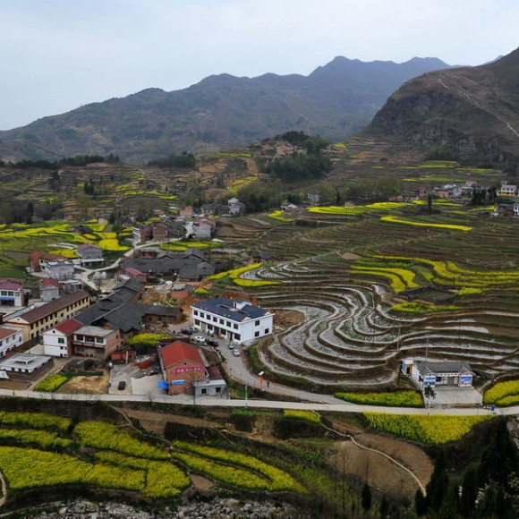 汉阴县漩涡镇油菜花
