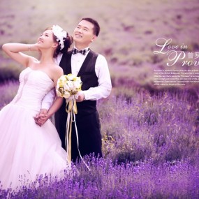 普罗旺斯的等待