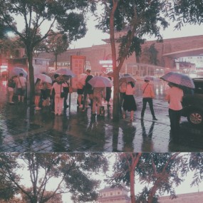 被大雨淋湿以后