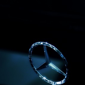 （静物）---王者锋范