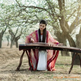 古风-《东栏梨花》