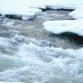 春江水暖鸭先知