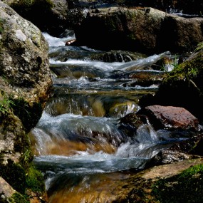 秦岭山间的溪水