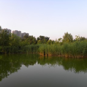 西安市城市运动公园之绿水美景