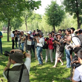 2013.6.2曲江大型外拍活动花絮